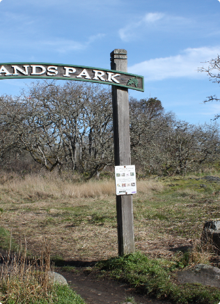 Uplands Park shoreline