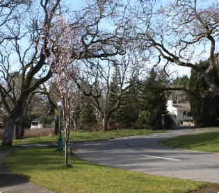 Housing