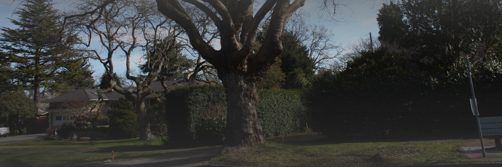 Uplands neighbourhood